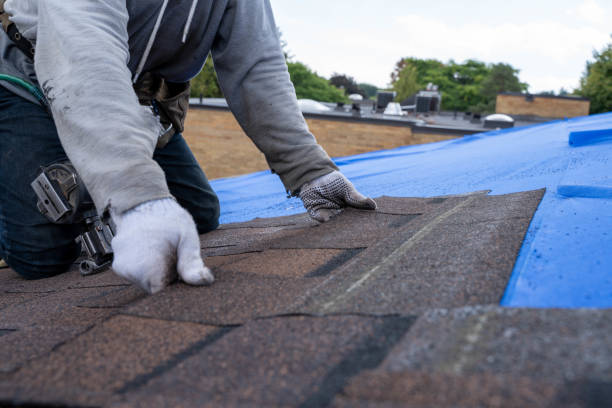 Best Green or Eco-Friendly Roofing Solutions  in Emory, VA